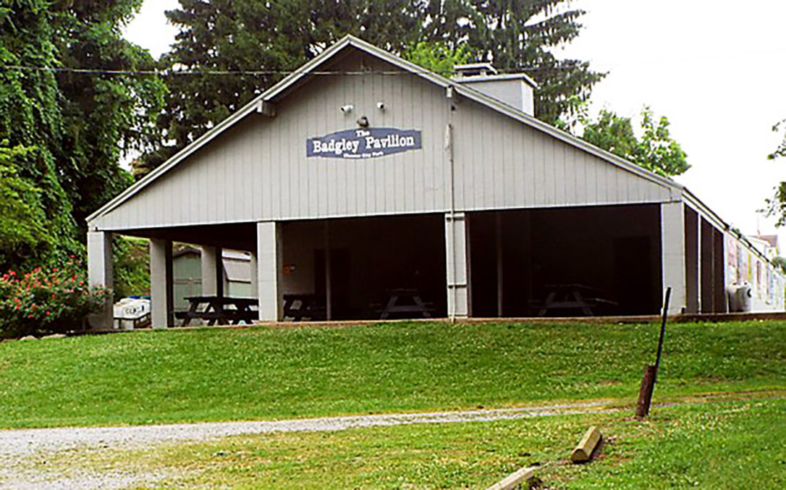 Events help raise funds for Chester City Park renovations News